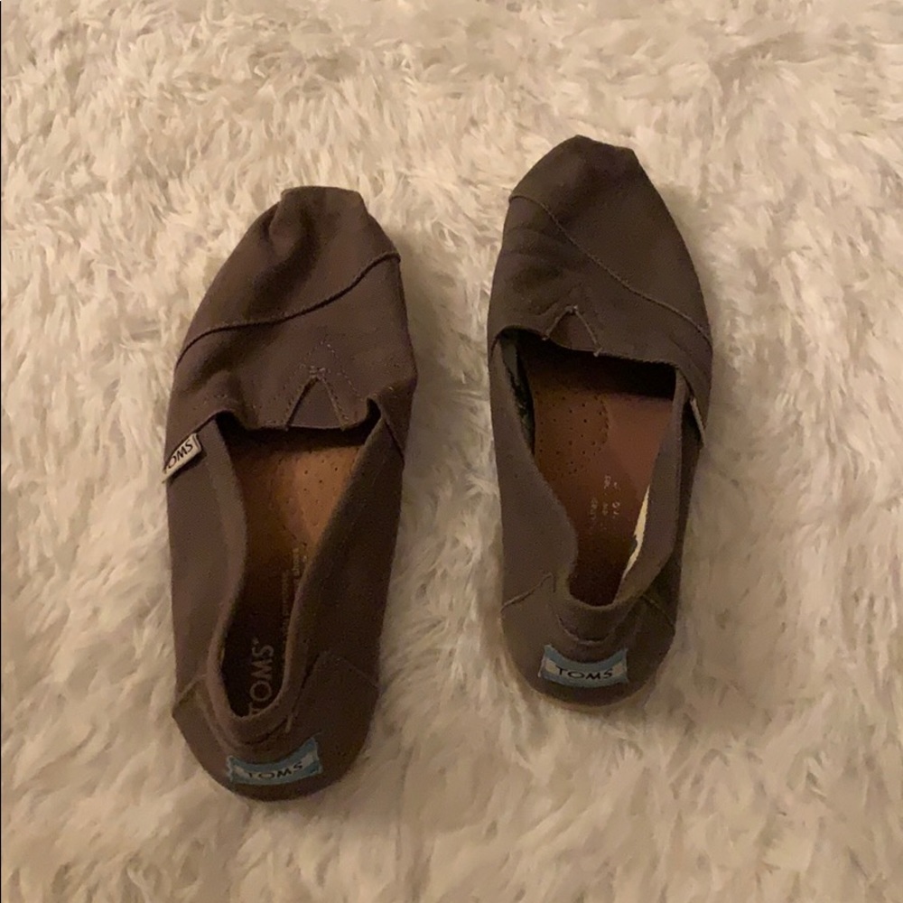 Gray Toms